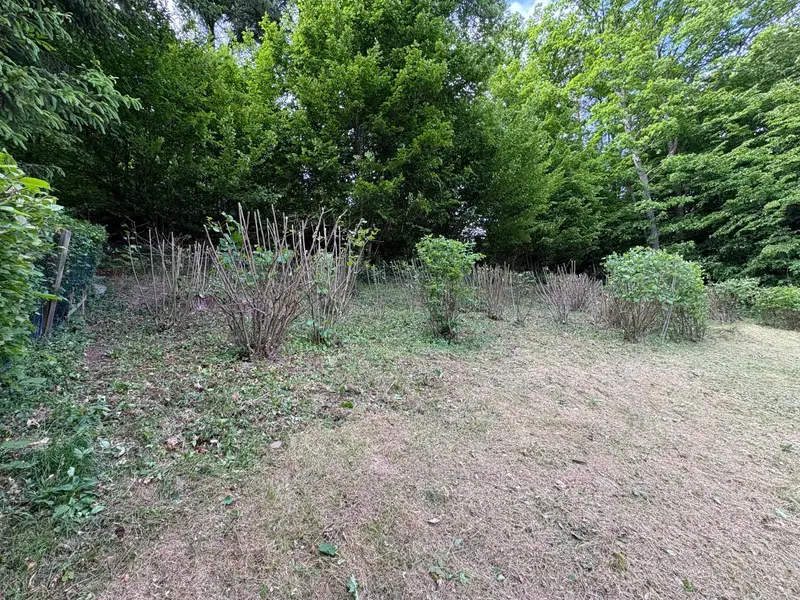 Grünpflege & Gartenpflege, Referenz 2 aus Dreisen und Umgebung